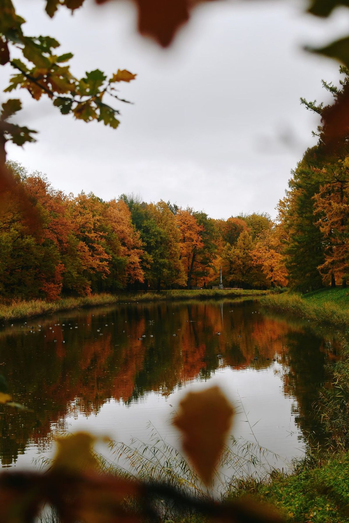 Autumn lake near Winston-Salem