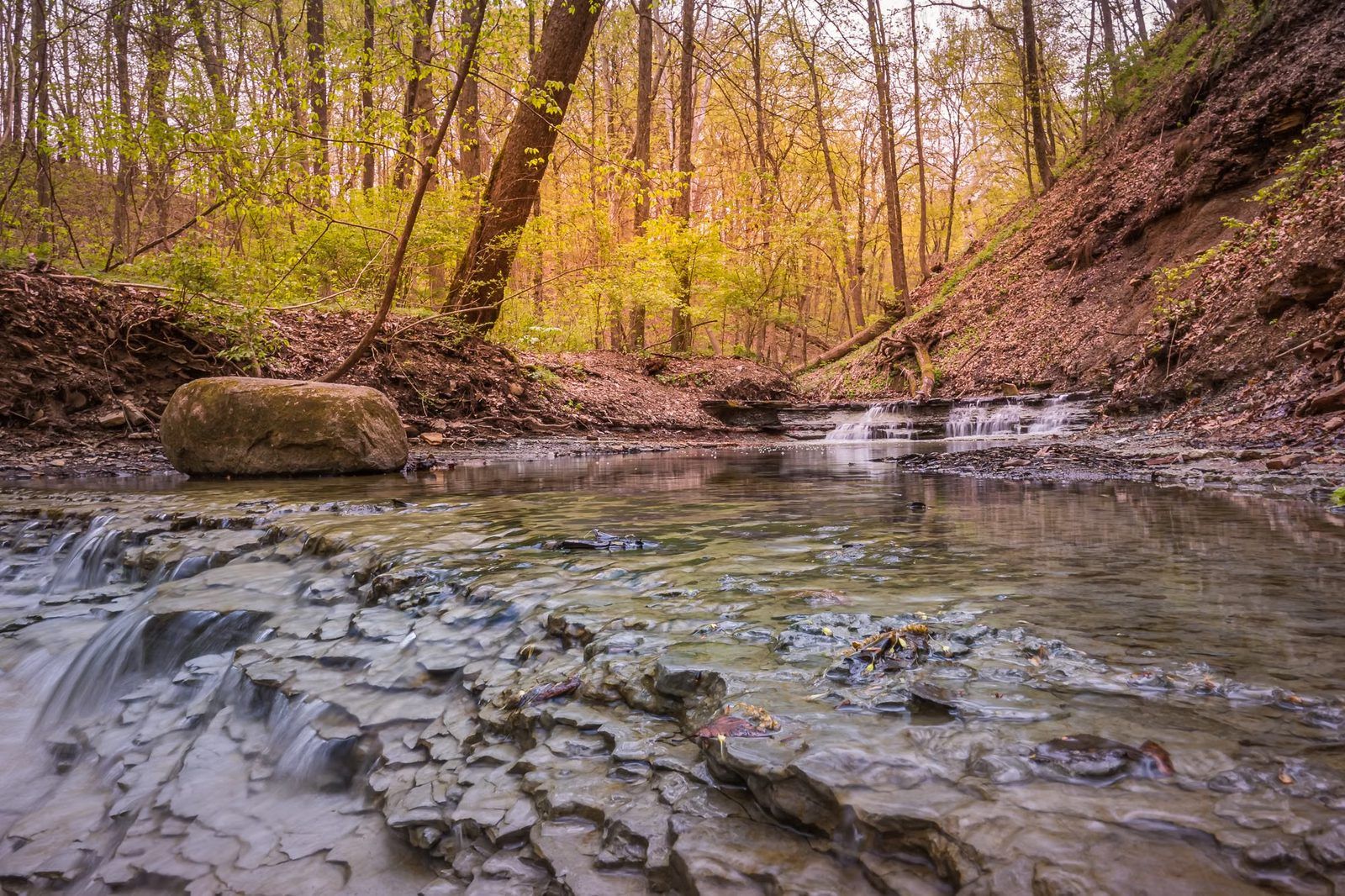 A wooded autumn creek